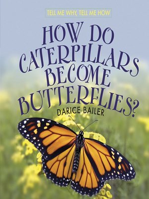 cover image of How Do Caterpillars Become Butterflies?